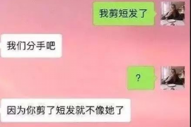 阳春融资清欠服务